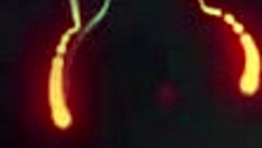 straight girl kallie taylor scissors asian kimmy kimm