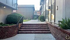 Big Booty Babe Layla Quinn Takes Hardcore Dicking From Rome Major With Big Black Cock