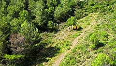 Drone captures hidden outdoor activity.