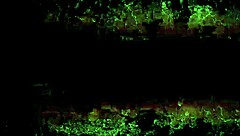 Discovering vintage erotic art pieces from the past