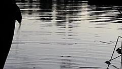 Pissing in a Lake on June 30, 2018