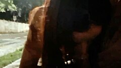 punheta arriscada para gostosa no ponto de ônibus