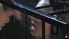 Super hot brunette gets her cunt pounded hard in doggystyle!