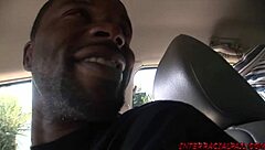 cute haileey james escapes the heat for some bbc