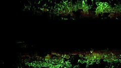 My Secret Life Vintage Pornostalgia