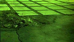 Extreme Bondage Gangbang Anal Sex