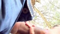 लातीना टीन लूप रेल्ड और कमशॉट मिलती है