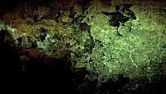 vintage retro group scene with antique interracial feel