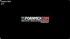 Discover The Contrasting World Of Mexican Trailer Taxi Services