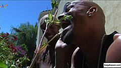 Interracial bj foursome with katja kassin gets so sticky 😏