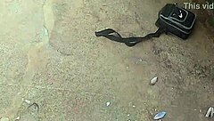 Brazilian Novinha Fucks Publicly on Beach Rocks