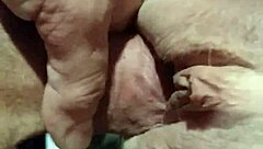 dion and polly share a deep emotional connection