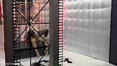 Exotic blonde Ash Hollywood strips and rides in California fantasy