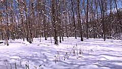 Nina Rivera and Don Whoe, What Great Time in the Snow with Big Tits?