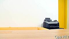 Amateur Gay Encounters Unveiled