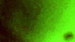 Blowjob leads to riding his cock while fingering her pussy