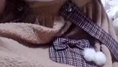 Help her itchy pussy now?