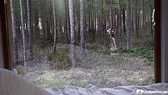 nothing better than fucking your mother in law neighbor with blowjob and riding her shaved pussy