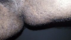 i fuck my wife passionately every night