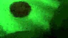 Play with Sextoy! Wet Pussy Fucking Action!