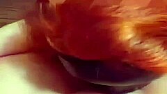 amateur hot wife slurps cock despite big tits