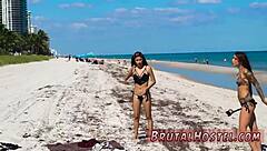 टूरिस्ट