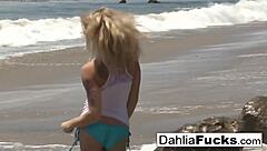 Hot Dahlia Sky Solo Fun Compilation