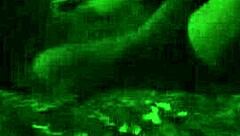 Eating Her Sweet Pussy So Good She Squirms Away