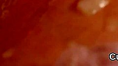 Feisty Idol Sucks Jizz in Intense Bukkake Cumshot Session